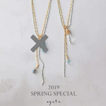 아가트 2019 한정판 실버&K10 참 목걸이