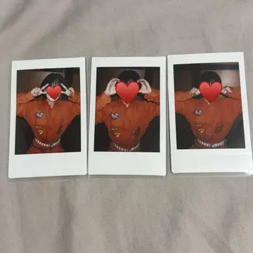 라부시쿠 타로 폴라로이드