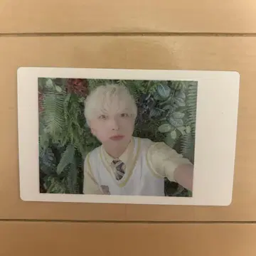팬더 드래곤 파라곤 하피카 요타