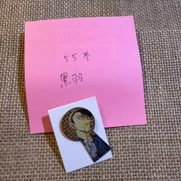 명탐정 코난 열쇠구멍 핀즈 블랙 깃털 도둑