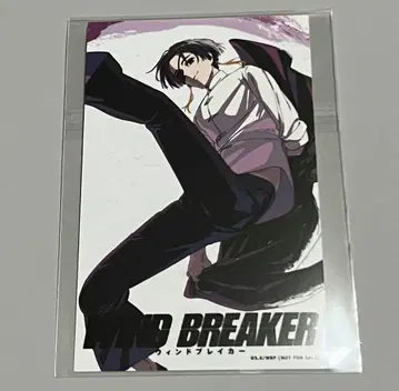 WIND BREAKER 자켓 그림체 미니 브로마이드 소샹샹
