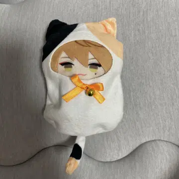 후시미 가쿠 파페토 고양이