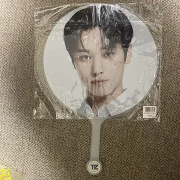 Theboyz 주영 부채
