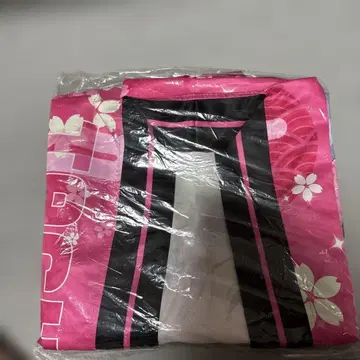 부이스포 호피 타치바나 히나노