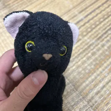 검은 고양이 봉제 인형