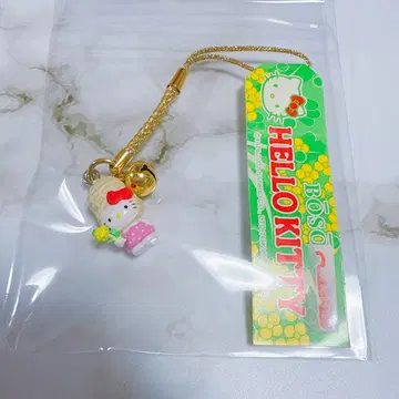 지역 특산품 키티 보소 네츠케 땅콩 피넛 헤이세이 레트로
