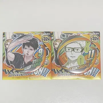 하이큐 카게야마 토비오 츠키시마 케이 팬 파크 컬렉션 캔뱃지