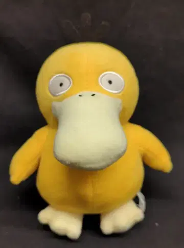 반다이 스피릿츠 다양한 표정의 봉제 인형 코닥 카누짱 코닥 (보통)
