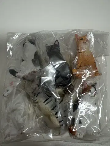 쭈그려 앉은 고양이 마스코트 피규어 6종 세트