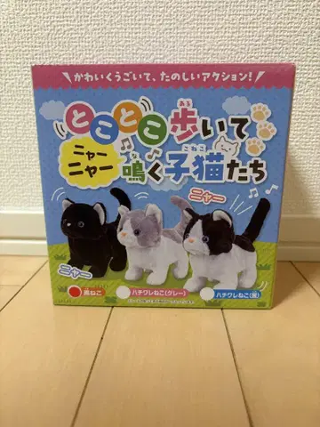 걸음마를 배우는 새끼 고양이 3마리 세트