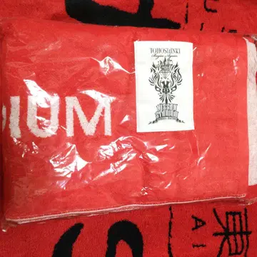 동방신기 타월