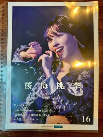 히라야마 유키 16 핑포스 카미코쿠료 모에 졸업 네이비