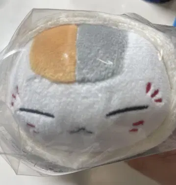 나츠메 우인장 제일복권 C상