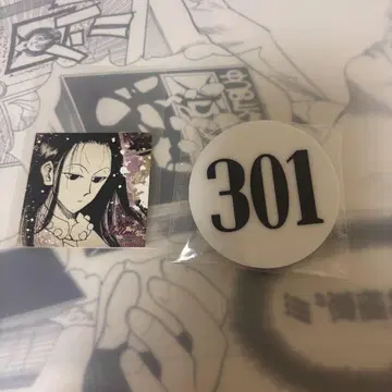 헌터헌터 이르미 번호판 301