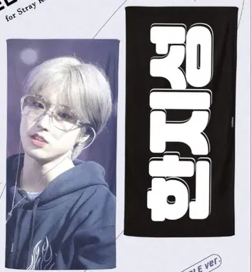 straykids 슬로건 한지성