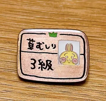 치이카와 (먼작귀) 핀즈 컬렉션 토끼 풀 뽑기 검정 3급