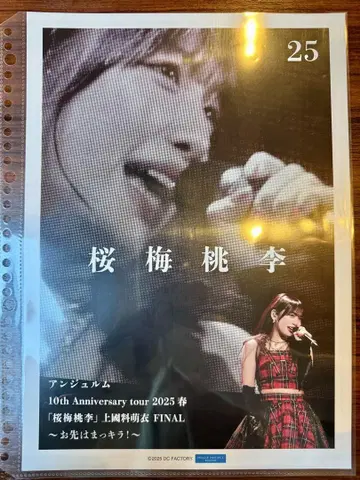 이세 스즈란 25 핑포스 카미코쿠료 모에 졸업 네이비