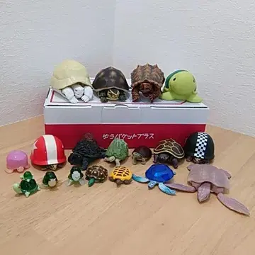 거북이 피규어 18종 세트