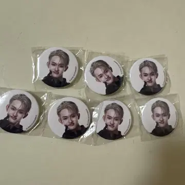 INI 타지마 쇼고 XQUAEA 캡슐 토이 미니 캔 배치
