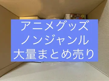 애니메이션 굿즈 비장르 잡화 대량 묶음 판매 잡화 기타 세트