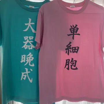 히나타 쇼요, 카게야마 토비오, 사자성어 티셔츠 정리
