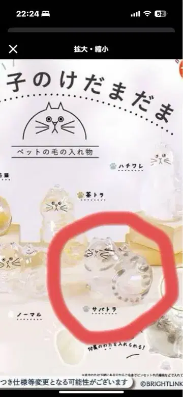 우리 아이의 털뭉치, 사바트라