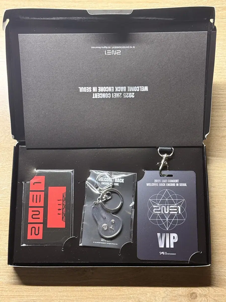 투애니원 앙콘 VIP 키트 포카 키링 2NE1 콘서트 특전