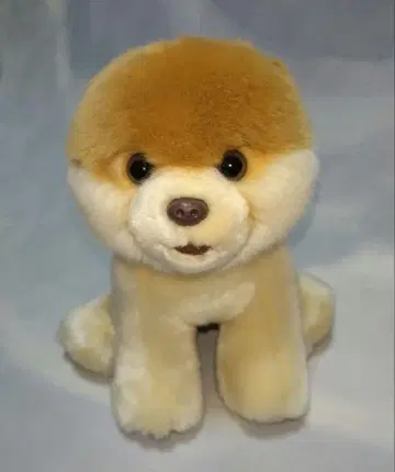 GUND BOO world 's cutest dog 포메라니안 봉제 인형