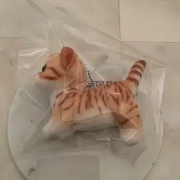 리얼 애니멀 새끼 고양이 마스코트 BC