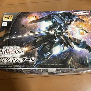 HG 1/144 건담 비다르