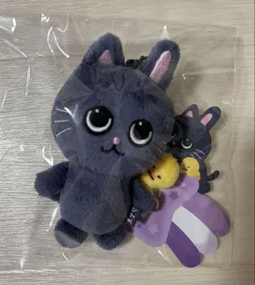 WE LITTLE RIIZE 원빈 토냥덕 8cm