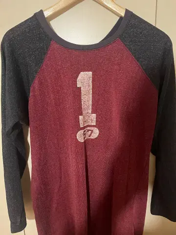 Champion 래글런 슬리브 긴팔 티셔츠