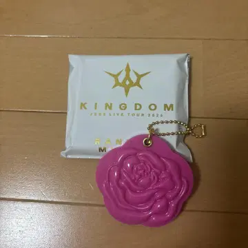 3대째 LIVE TOUR KINGDOM 로즈 거울 이와타 타카노리
