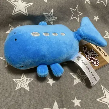포켓몬 핏 호엘오