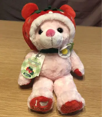 지역 특산품 베어 스트로베어 도치기 한정판 봉제 인형 S