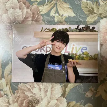 마시코 아츠키 cookpad Live 레시피 카드 엽서 GENIC