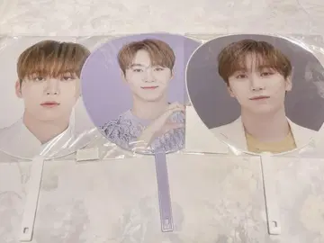 세븐틴 승광 부채