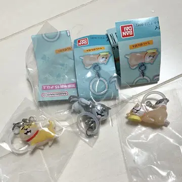 시반반 메지루시 액세서리 SHIBANBAN