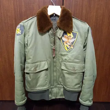 버즈릭슨 b-10 플라잉 타이거