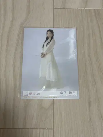 야마시타 시즈키 브로마이드