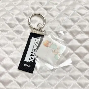 BLEACH 원화전 오리지널 레코드 자켓 키체인 컬렉션