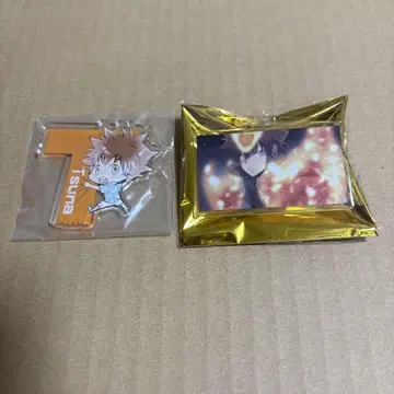 가정교사 히트맨 REBORN 사와다 츠나요시 아크릴 배지 점페스