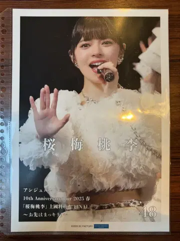 카미코쿠료 모에 48 핑포스 가로 아리 졸업 네이비
