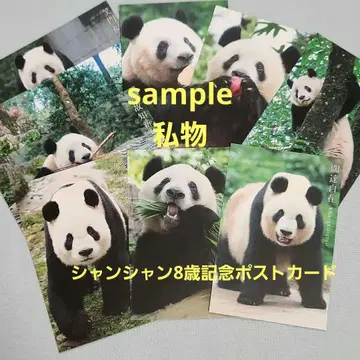 샨샨 엽서 10장 세트 8세 기념 팬더