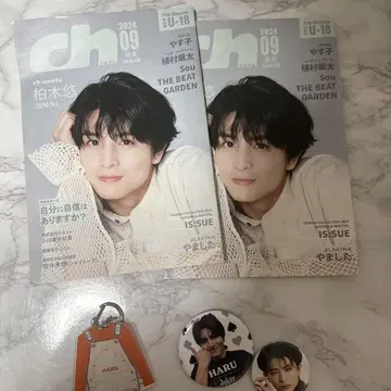 초특급 하루 카시와기 유