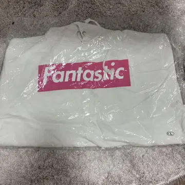 Fantastic 로고 후드티