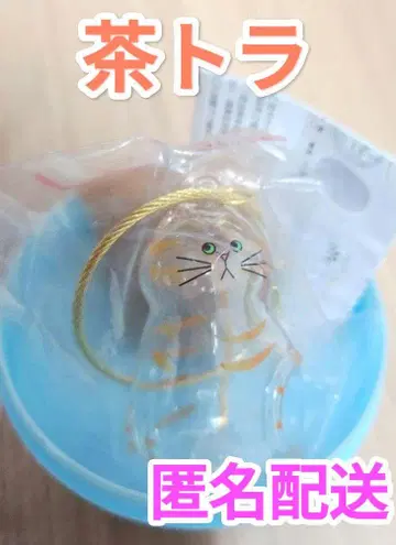 새상품 우리 아이의 캣타마 브라운 가챠가챠 키링 고양이