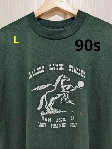 FRUIT OF THE LOOM 90s 티셔츠 L 싱글 스티치