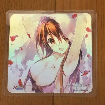 NewType 카페 오야도 WHITE ALBUM2 유키나 코스터