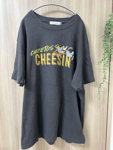 굿 록 스피드 치토스